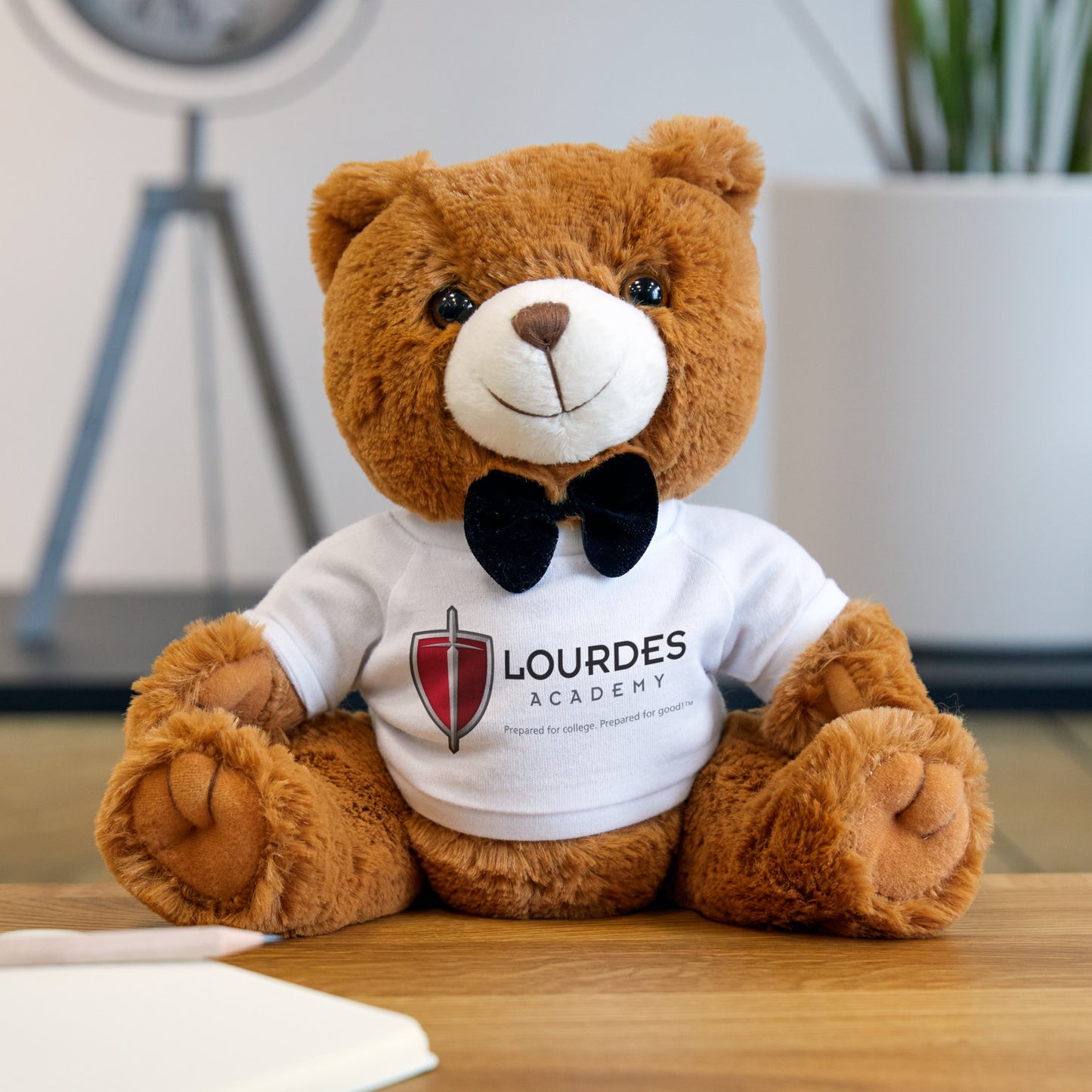 Teddy Bear with Lourdes T-Shirt